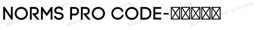Norms Pro Code字体转换